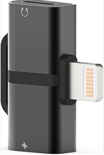 GEMINI Dual Lightning  Converter